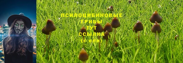 дмт Нефтегорск