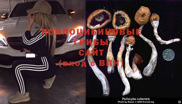 дмт Нефтегорск