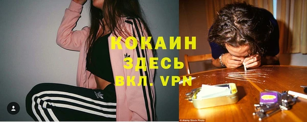 сатива Горнозаводск