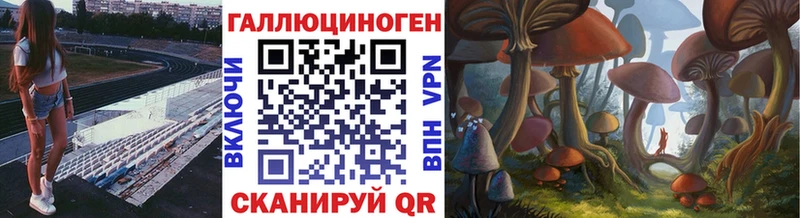 Псилоцибиновые грибы мицелий  Ессентуки 
