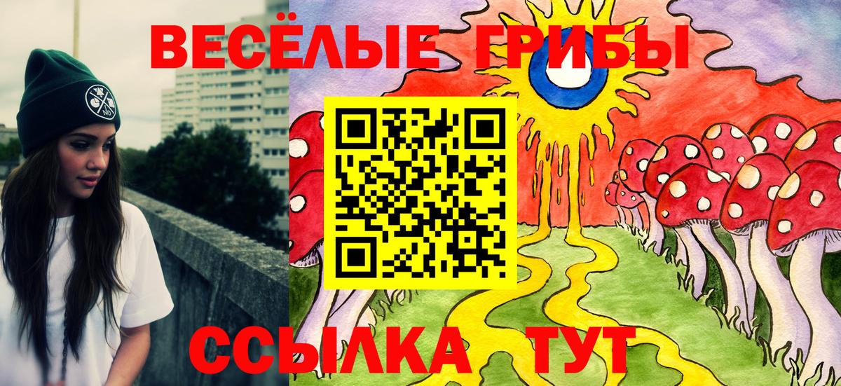 Ессентуки  Псилоцибиновые грибы MAGIC MUSHROOMS  Вход с VPN 